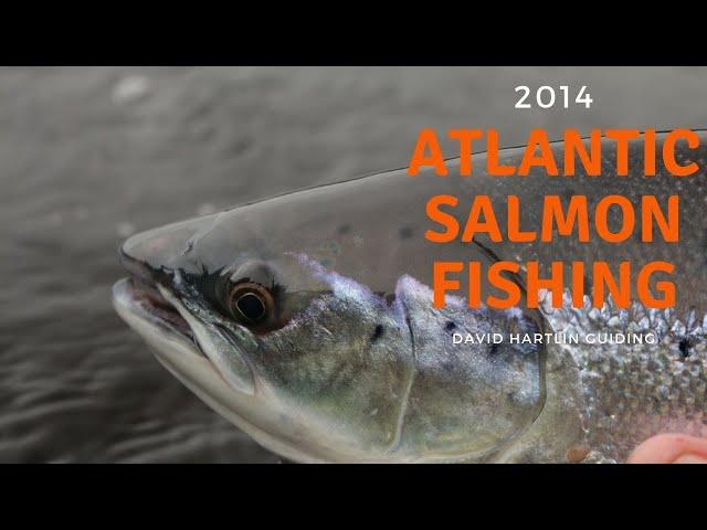 Atlantic Salmon Fishing  Newfoundland and Labrador with David Hartline 2014