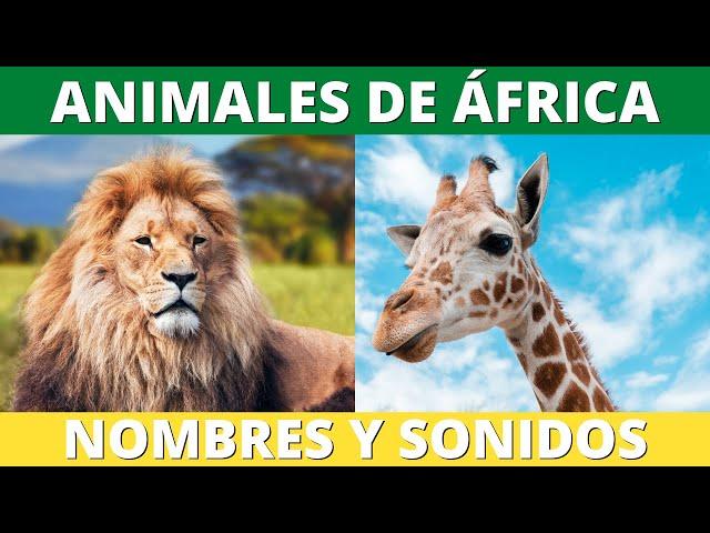 The ANIMALS OF AFRICA, Their Names and their Sounds (for Kids)