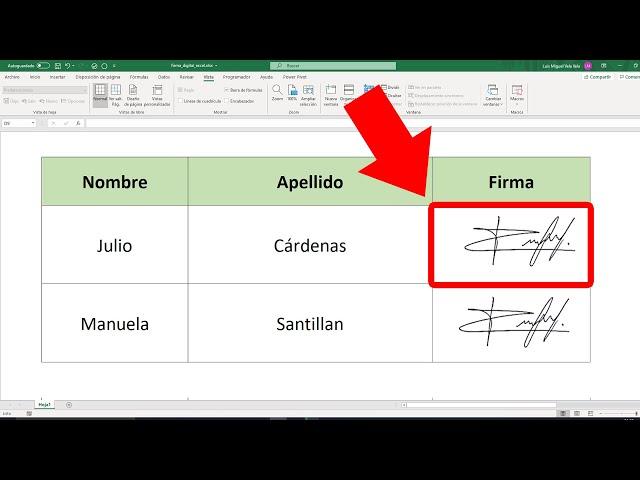 Como hacer una firma digital en Excel