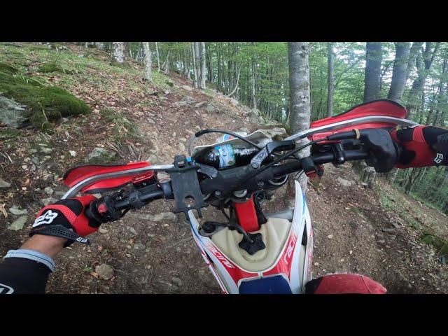 Clutch Climb - Enduro Poiana - expert climb level