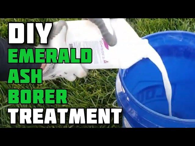 DIY Emerald Ash Borer Treatment | Treating Ash Trees for Emerald Ash Borer Yourself | EAB Treatment