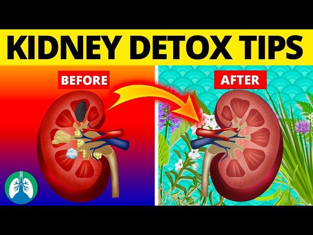 7 Ways to Detox and Cleanse Your Kidneys Naturally