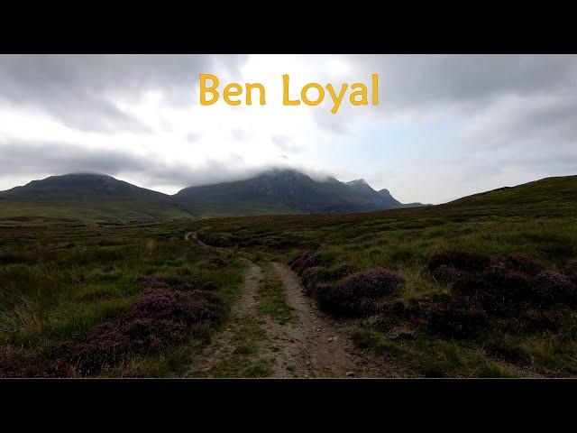 Ben Loyal [EN subtitles]