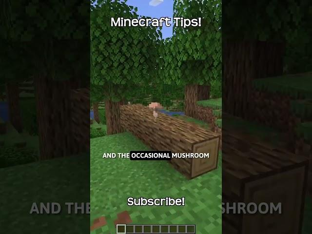 What Is The Command To Find A Forest In Minecraft?!