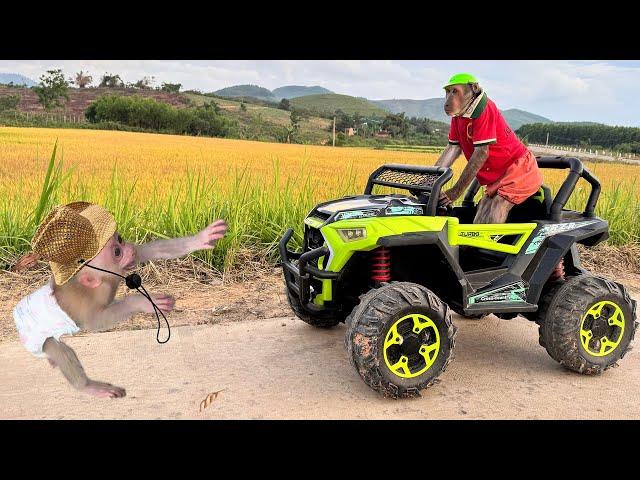 Baby monkey runs to find Abu! Trouble ensues!
