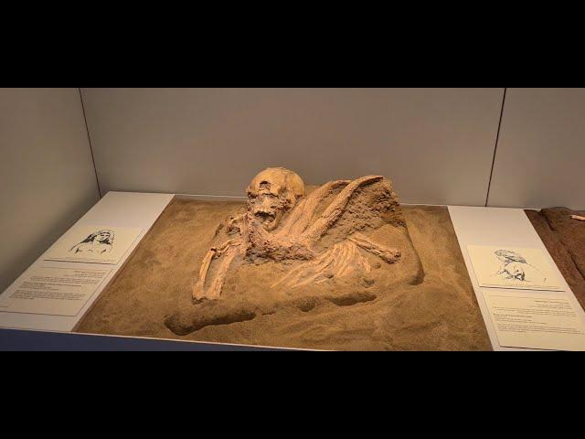 300 Thousand Years Old remains of first human displayed at the Israeli museum in Jerusalem