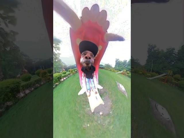 Insta 360#funny #video #gumakkad #adda#viralvideo