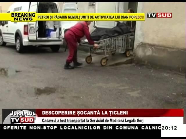 descoperire socanta la ticleni