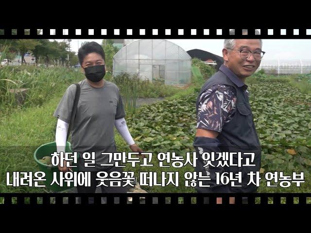 [공간다큐 '만남' 8회②] 하던 일 그만두고 연농사 잇겠다고 내려온 사위에 웃음꽃 떠나지 않는 16년 차 연농부