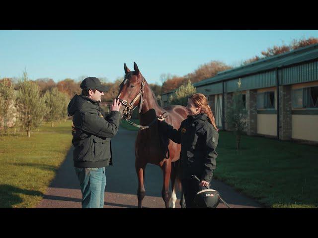 Racehorse Lotto Christmas Raffle - Filly training well reports Hayley Turner