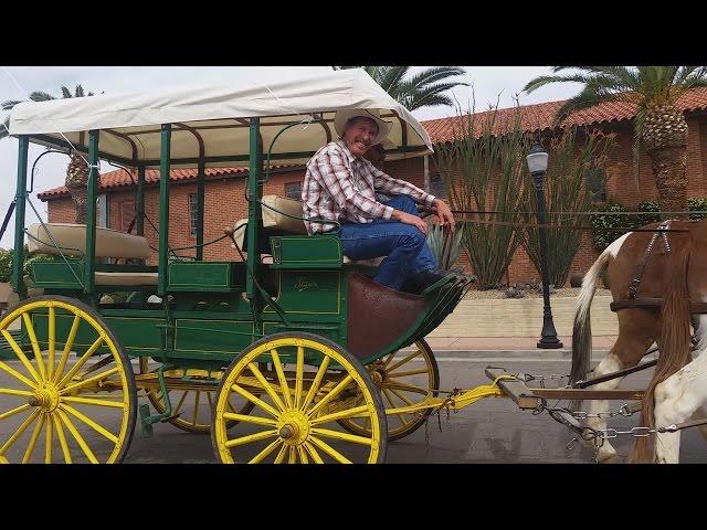 Wickenburg BookBalloon Launch