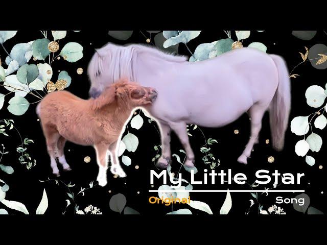 Stunning Song! Cute Shetland Foal is a Little Star! ️