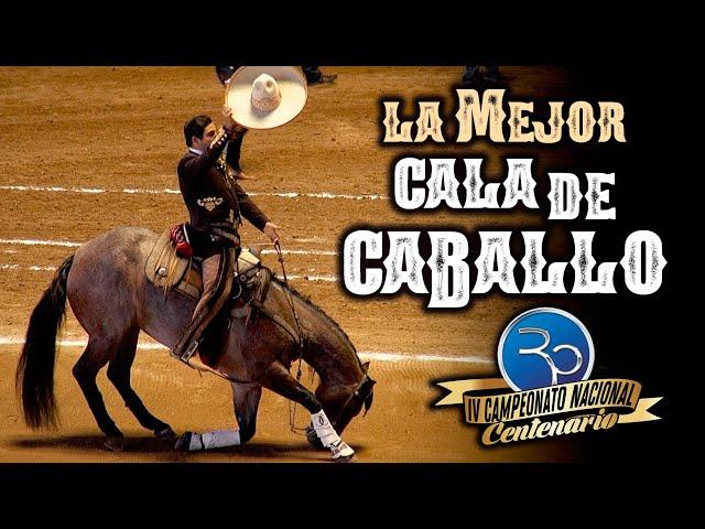 ¡¡GRACIAS!! Alejandro Goñi Rojo - La mejor Cala de Caballo - IV Campeonato Centenario 2020