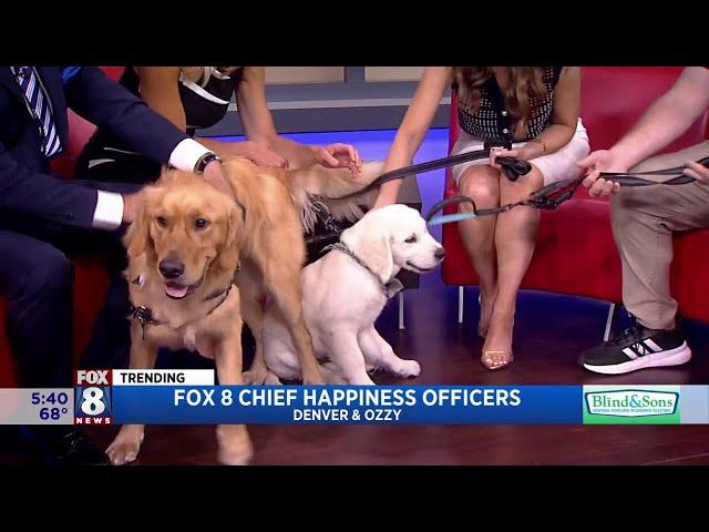 Fox 8 News | Chief Happiness Officers (Courtesy of GRIN)