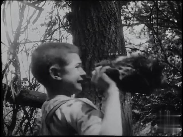 Les Dénicheurs d’oiseaux (1904) The Nest Robbers (Pathé)