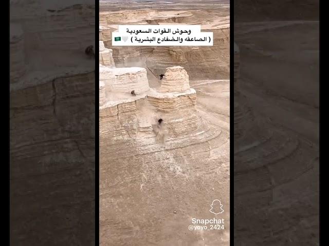 وحوش القوات السعوديه ( تدريبات الصاعقه والضفادع البشريه ) شوفو التدريب كيف 