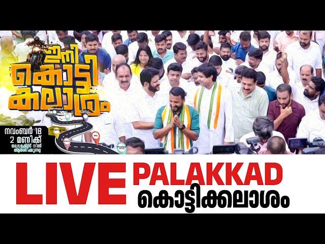 ഇനി കൊട്ടിക്കലാശം | പാലക്കാട്  Rahul Mamkootathil| Netzone Live