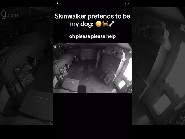 Skinwalker DISGUISED as DOG 