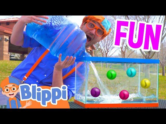 Play Games With Blippi! | Sink or Float? Playground | Educational Videos For Kids