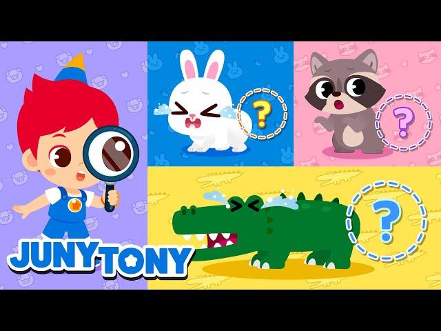 Please Find Our Tails | Who Took the Tails? | Animal Songs | Kids Songs | JunyTony