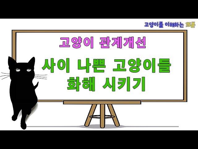 사이 나쁜 고양이들 화해 시키는 여러 방법들 (고양이 관계개선)