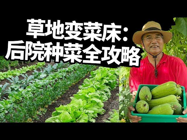 草地变菜床：后院种菜全攻略