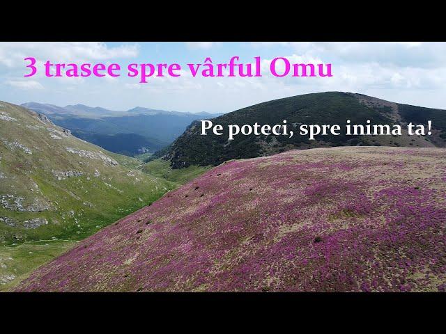 Omu Roz. Pe poteci, spre inima ta! Ep 103