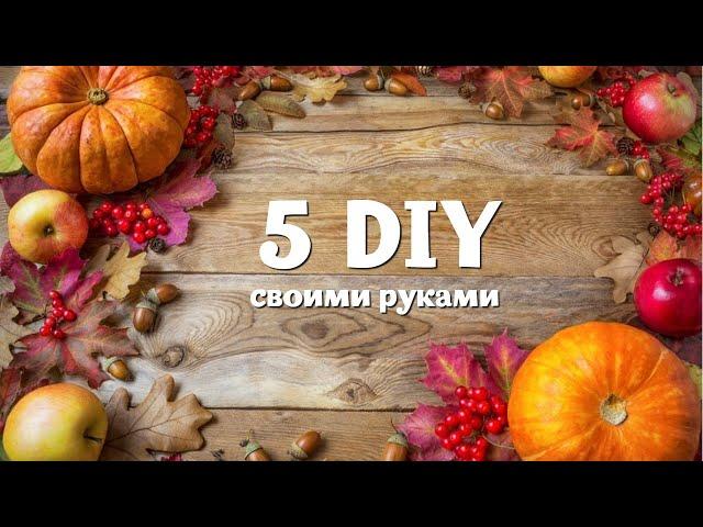  5 DIY  ОСЕННИЕ ПОДЕЛКИ СВОИМИ РУКАМИ