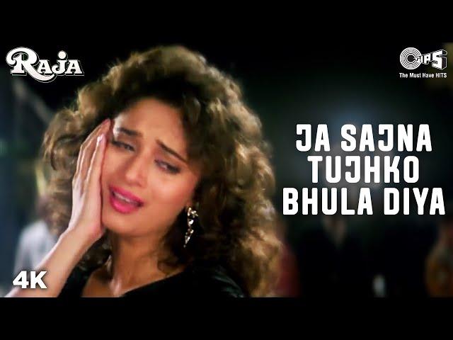 Ja Sajna Tujhko Bhula Diya - Raja - Sanjay Kapoor & Madhuri Dixit