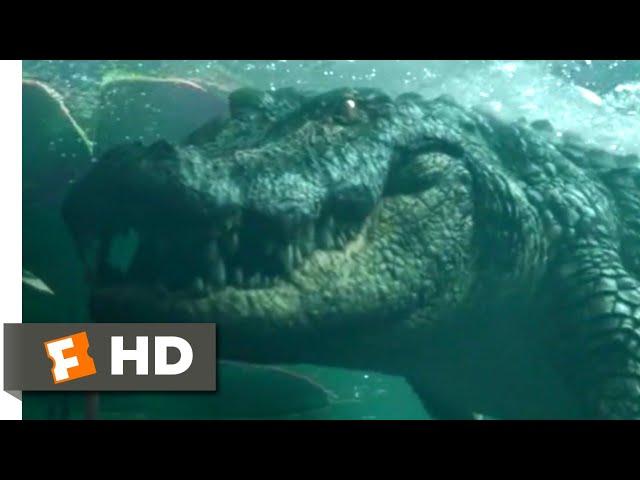 Crawl (2019) - Swimming Through the Pipe Scene (6/10) | Movieclips