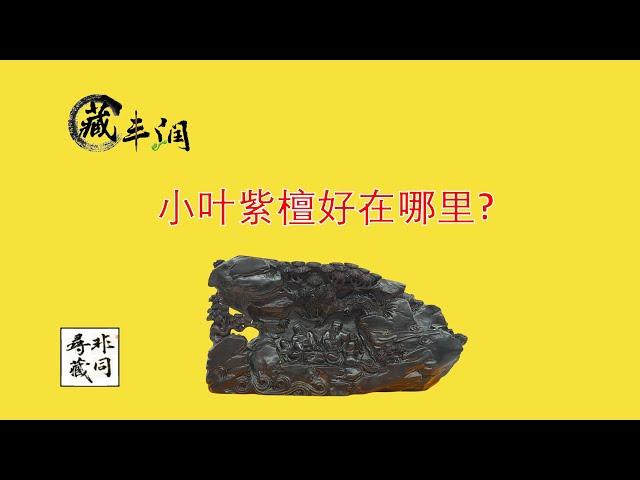 《非同寻藏》小叶紫檀好在哪里?哪里产的小叶紫檀最好?它有什么特点?