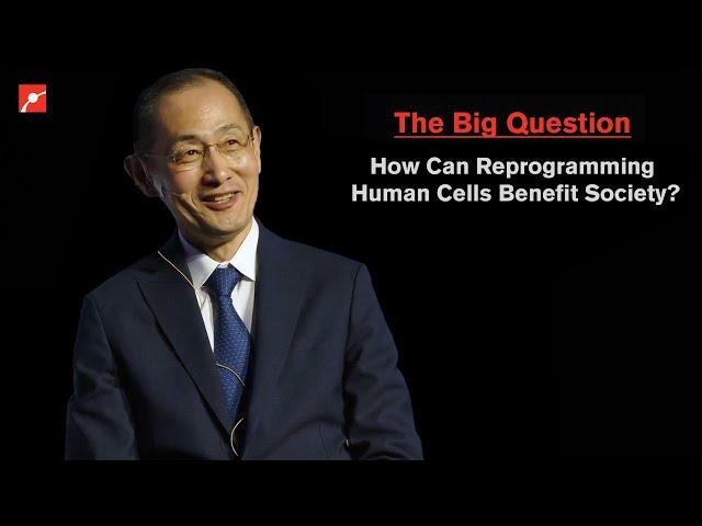 Can Stem Cells Extend Life? Nobel Laureate Shinya Yamanaka Explains