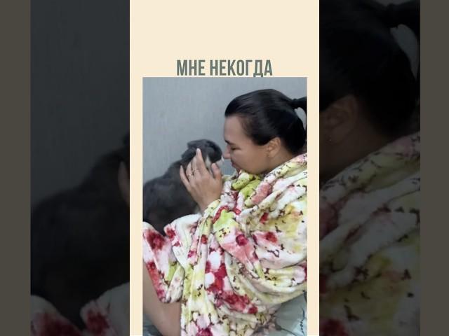 Признавайтесь, было? #юмор #котики #домалучше #отмазка
