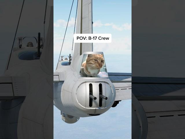The scariest thing you could see as B-17 gunner