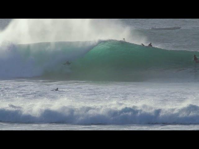 Melbourne's Hidden Gem - The Monster in the Bay