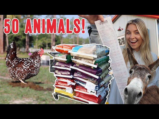 The ACTUAL cost of 50 farm animals | Buying Feed For ALL MY PETS IN ONE VIDEO!