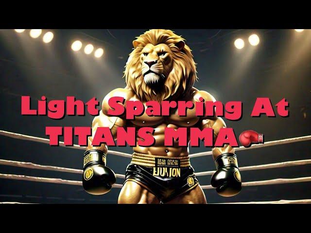 A Light Boxing Sparring Session at TITANS