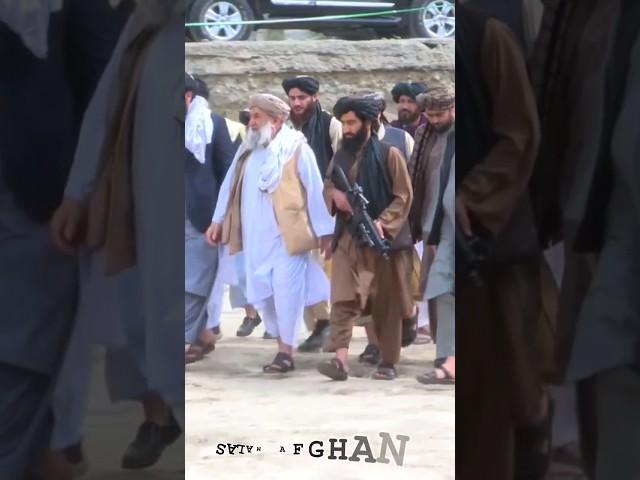 Prime Minister Of Taliban Attitude status #shorts