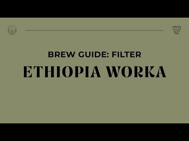 Brew Guide - Ethiopia Worka Filter