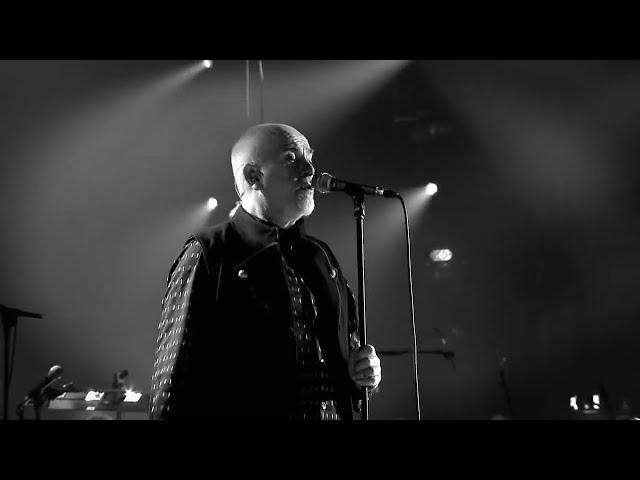 Peter Gabriel  Mercy Street  New Blood Orchestra  Live in London 2012