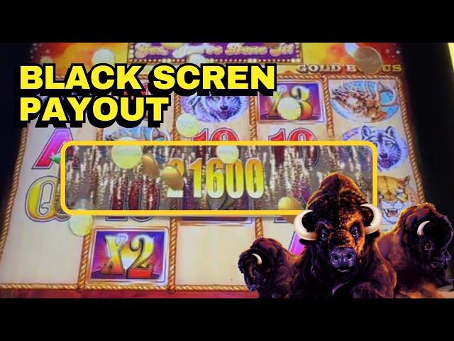 We always love Buffalo's Black Screen Wins!