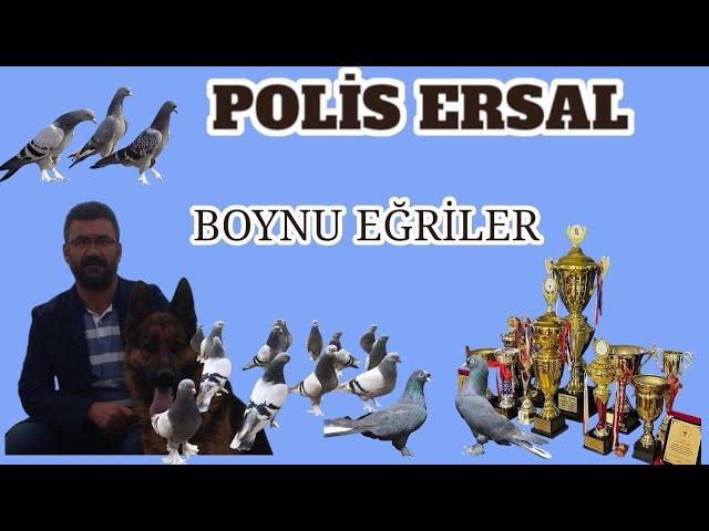 SAYISIZ BAŞARI (POLİS ERSAL )