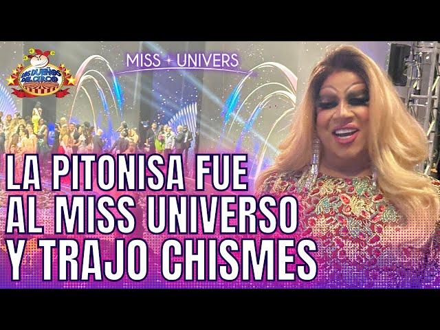 PITONISA FUE AL MISS UNIVERSO Y TRAE CHISMES QUE NADIE SABE