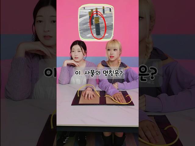 🫠 지식은 짧고 고무줄은 길다ㅋ 틀리면 그냥 아픈 퀴즈쇼 ㅋㅋㅋ 