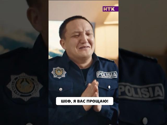 Шеф, я вас прощаю! #shorts