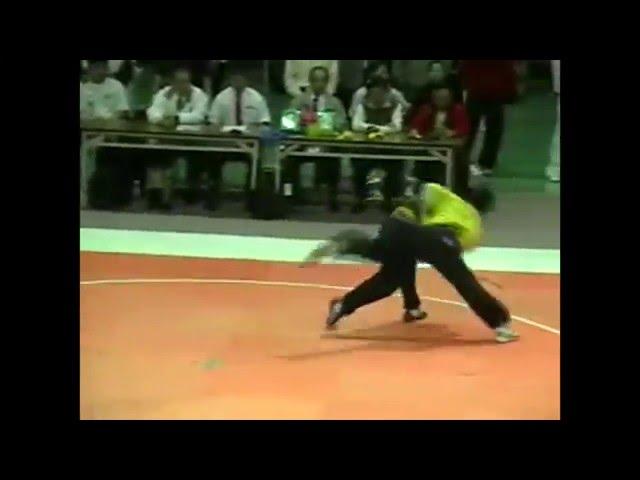 Josh Waitzkin vs. "The Yellow Bull School" - Moving Step Push Hands - 2004 Tai Chi World Cup