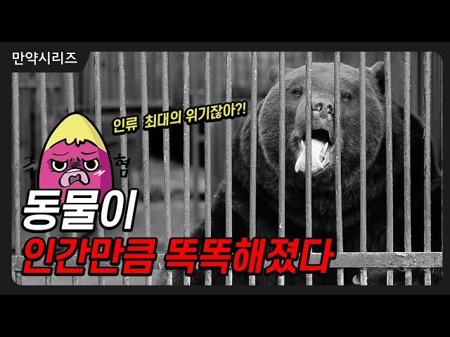  만약 지금 당장 동물들이 인간만큼 똑똑해진다면 어떻게 될까? (feat. 혹성탈출)