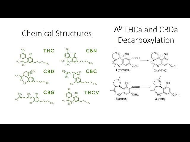 Certificates of Analysis (COA's) - Understanding Them And How They Are Used In The Cannabis Industry