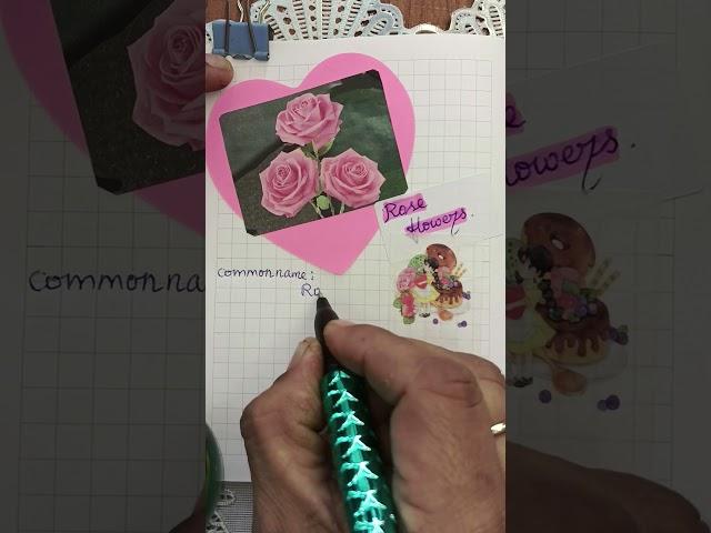 My scrapbook plant journal | Rose flower journalPlant bullet journal #shorts #short #journal