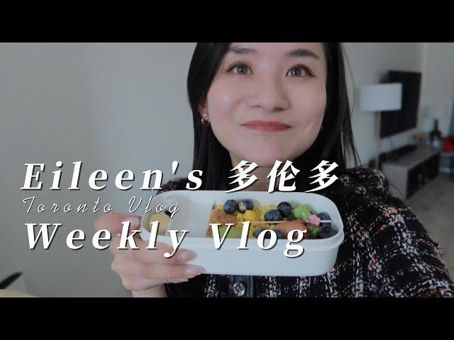 Eileen | 多伦多weekly vlog 我加拿大房子后院改造，参加活动给小孩子做便当